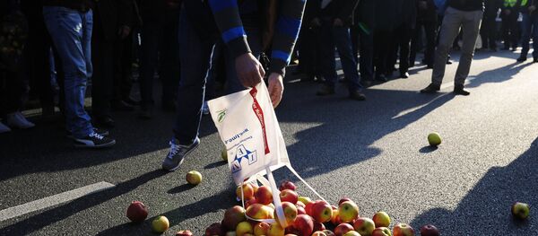 Agricultores poloneses protestam contra embargo russo Agricultores poloneses protestam contra embargo russo - Sputnik Brasil