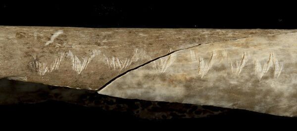 Osso de pessoa pré-histórica com marcas rituais Osso de pessoa pré-histórica com marcas rituais - Sputnik Brasil