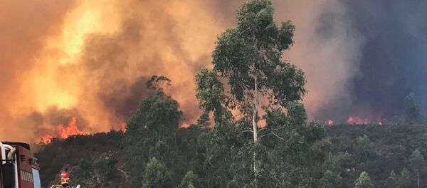 ERICAM trabalhando no fogo, na cidade de Vila de Rei, em Portugal - Sputnik Brasil