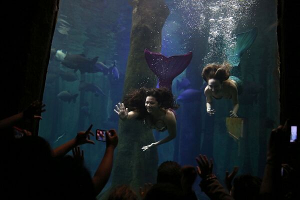 Sereias posando perante visitantes no Aquário de São Paulo, em São Paulo, Brasil, em 8 de junho de 2017. - Sputnik Brasil