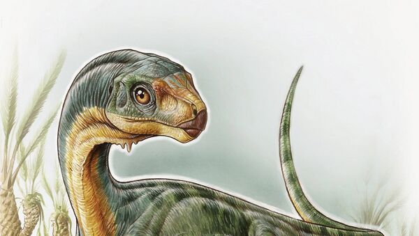 Dinossauro da espécie Chilesaurus diegosuarezi (visão artística) - Sputnik Brasil