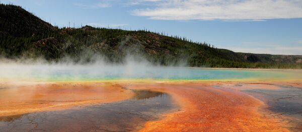 Parque Nacional de Yellowstone, Wyoming, EUA Parque Nacional de Yellowstone, Wyoming, EUA - Sputnik Brasil