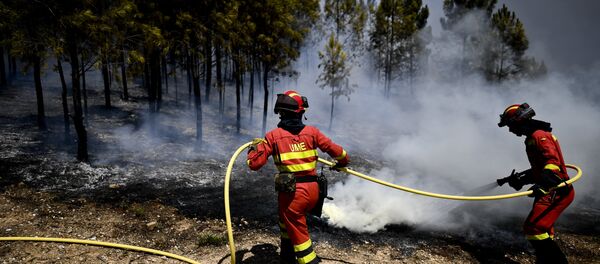 Militares espanhóis da Unidade Militar de Emergências (UME) combatem o fogo (foto de arquivo) - Sputnik Brasil