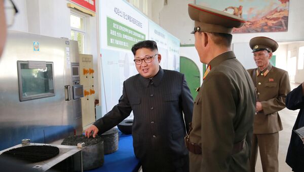 Kim Jong-un se comunica com os altos representantes do Instituto de Pesquisa em Materiais Químicos da Academia da Defesa Nacional - Sputnik Brasil