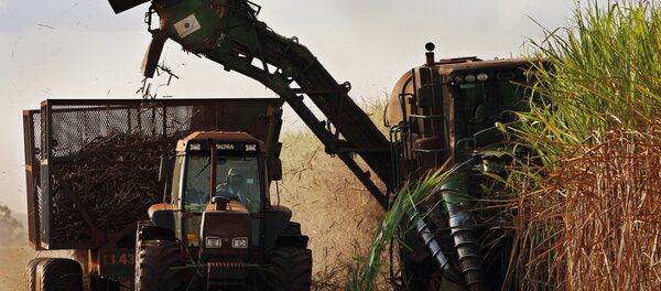 Feira em São Paulo pode gerar R$ 2,9 bilhões em negócios - Sputnik Brasil