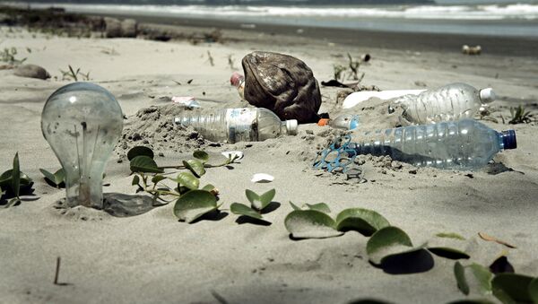 Praia repleta de lixo (imagem referencial) - Sputnik Brasil