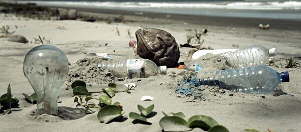 Praia repleta de lixo (imagem referencial) - Sputnik Brasil