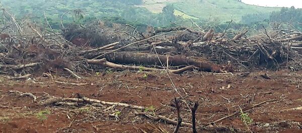 Europa quer incluir proteção ambiental no acordo com o Mercosul - Sputnik Brasil