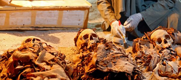 Arqueólogos egípcios no recém-descoberto túmulo com múmias em Luxor, Egito, em 9 de setembro de 2017 Arqueólogos egípcios no recém-descoberto túmulo com múmias em Luxor, Egito, em 9 de setembro de 2017 - Sputnik Brasil