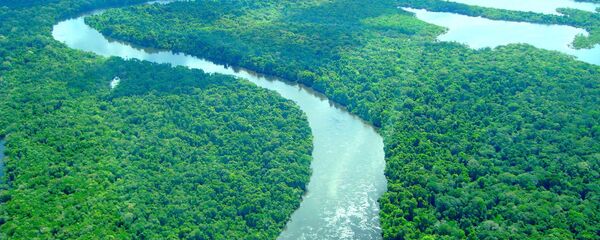 Hidrelétricas e ação de invasores ameaçam áreas ocupadas por índios no Xingu - Sputnik Brasil