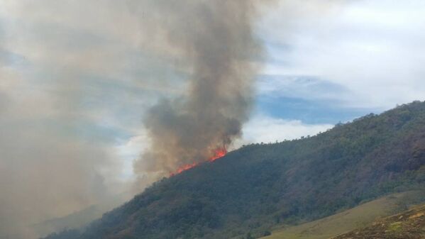 O tempo seco contribuiu para o incêndio. - Sputnik Brasil