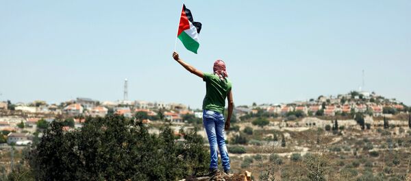 Manifestante com a bandeira da Palestina - Sputnik Brasil