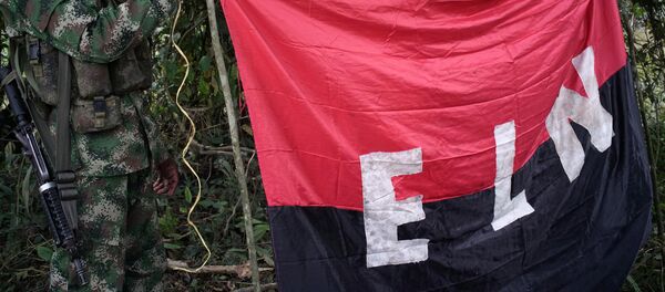 Los rebeldes del Ejército de Liberación Nacional (ELN) sostienen un estandarte en las selvas del noroeste de Colombia - Sputnik Brasil