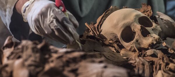 Túmulo com múmias em Luxor, Egito - Sputnik Brasil