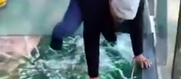 Ponte de de vidro na China - Sputnik Brasil