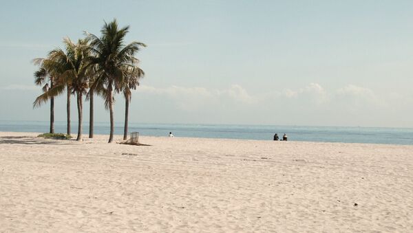 Praia em Miami, Flórida - Sputnik Brasil