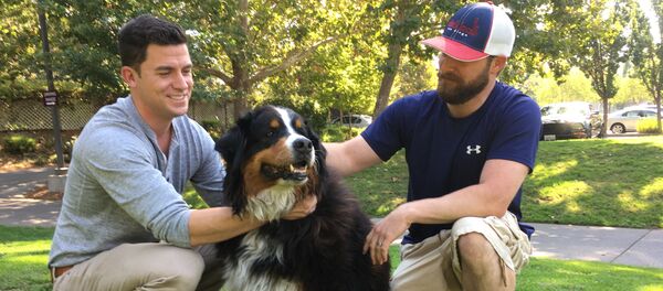 Jack Weaver, left, and his brother in law, Patrick Widen, pose with Izzy, a 9-year-old Bernese Mountain Dog, who belongs to Weaver's parents, Saturday, Oct. 14, 2017, in Windsor, Calif. - Sputnik Brasil