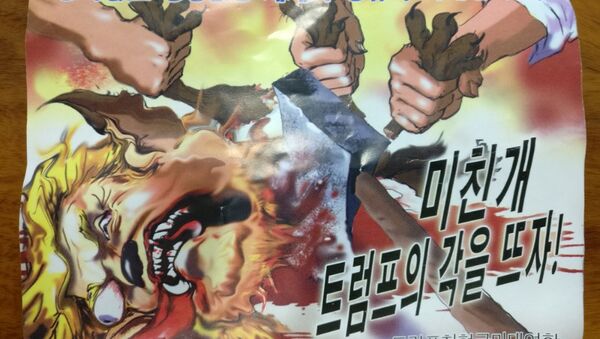 Um folheto anti-Trump supostamente da Coreia do Norte divulgado pela NK News em 16 de outubro de 2017. O texto em coreano diz Para o mundo pacífico sem guerra e para o futuro da humanidade, destroce o Trump cachorro louco! - Sputnik Brasil