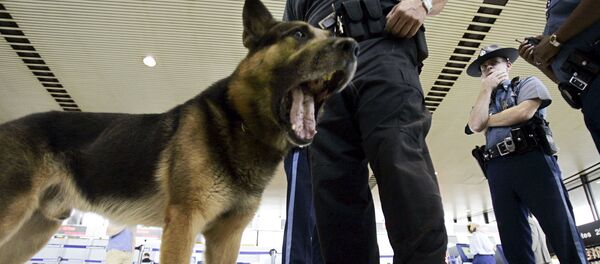 Cachorro da polícia (imagem referencial) - Sputnik Brasil