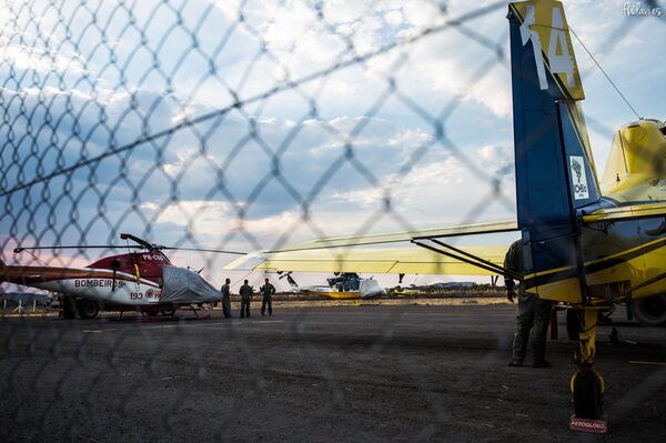 'Não tem como elas queimarem sozinhas', diz moradora da região da Chapada dos Veadeiros - Sputnik Brasil
