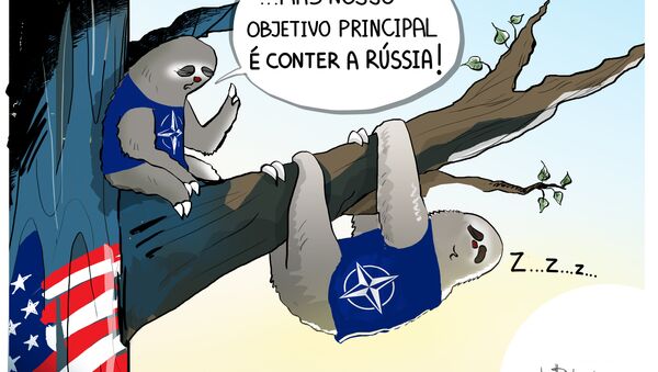 Bicho-preguiça da OTAN estaria sonhando muito alto? - Sputnik Brasil