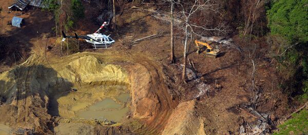 Segundo o Ibama, garimpos ilegais representam uma ameaça à saúde pública devido à contaminação por mercúrio, principalmente em regiões como a Amazônia. - Sputnik Brasil