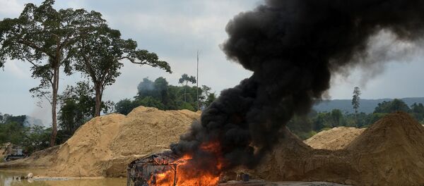 Ibama realiza operação de combate a garimpo ilegal na Terra Indígena Kayapó, no Pará Ibama realiza operação de combate a garimpo ilegal na Terra Indígena Kayapó, no Pará - Sputnik Brasil