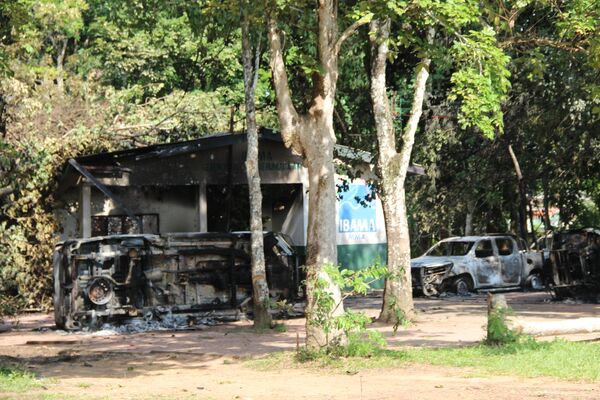Tecnologia de combate a incêndios florestais faz Brasil sede de evento mundial, diz biólogo Tecnologia de combate a incêndios florestais faz Brasil sede de evento mundial, diz biólogo - Sputnik Brasil