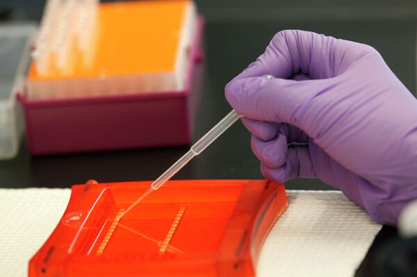 O que é a tecnologia de impulsores genéticos que pode 'acabar com espécies'? - Sputnik Brasil