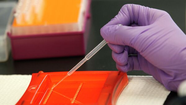 Cientista trabalhando com amostras de DNA  - Sputnik Brasil