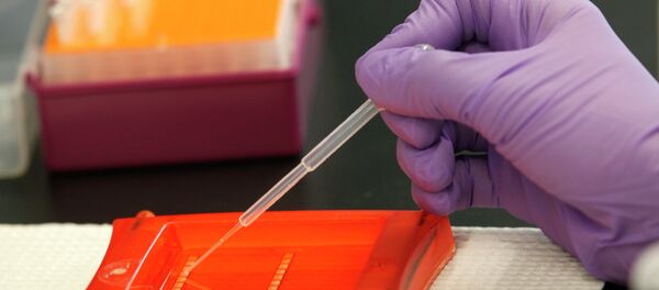 Cientista trabalhando com amostras de DNA - Sputnik Brasil