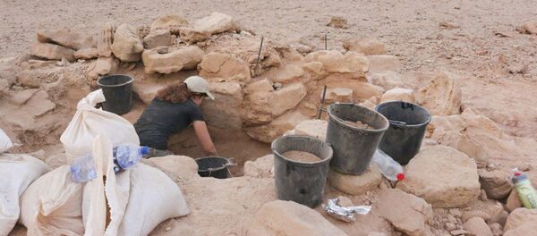 Escovações no Vale Timna, no sul de Israel (foto de arquivo) - Sputnik Brasil