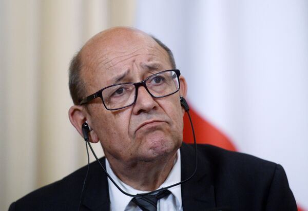 Especialista: 'bolo' de Bolsonaro em ministro francês é resultado de rusgas anteriores, mas pega mal - Sputnik Brasil