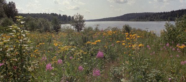 Chumysh, Sibéria - Sputnik Brasil