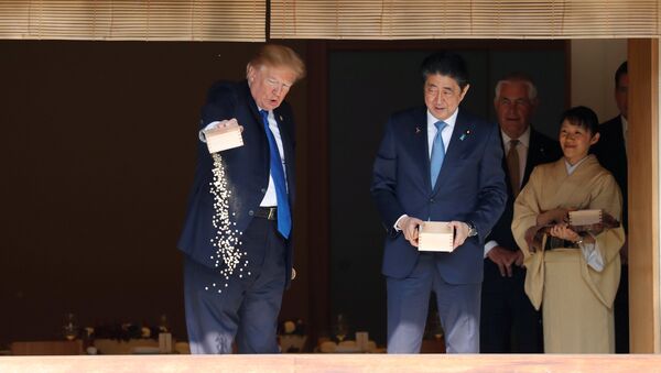 Presidente dos EUA, Donald Trump, e o premiê do Japão, Shinzo Abe, alimentando carpas no Palácio Akasaka, Tóquio - Sputnik Brasil