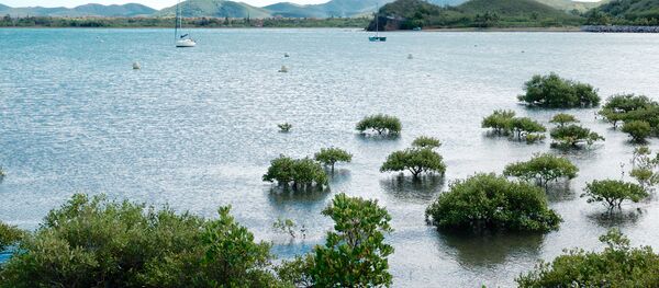 Vista panorâmica da baía de Koumac, no norte da Nova Caledônia, 7 de setembro de 2016 - Sputnik Brasil