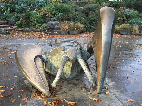 Monumento de um lagostim no cais da cidade de Rostov-no-Don - Sputnik Brasil