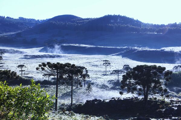 Neve em São Joaquim, Santa Catarina. - Sputnik Brasil