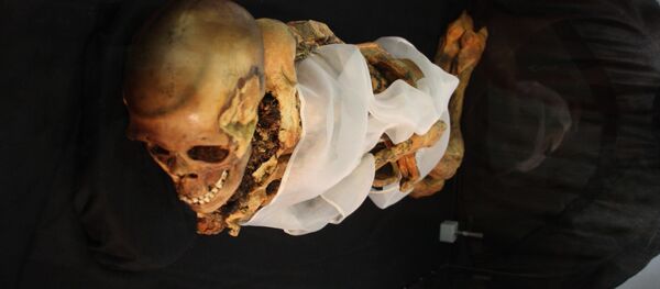 Uma múmia - Sputnik Brasil