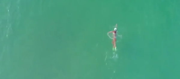 Tubarão perto de uma praia em Miami (Flórida) - Sputnik Brasil