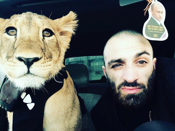 Artyom Martirosyan com sua filha, leoa Legenda - Sputnik Brasil